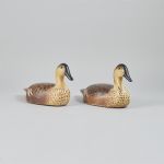 630970 Decoy ducks